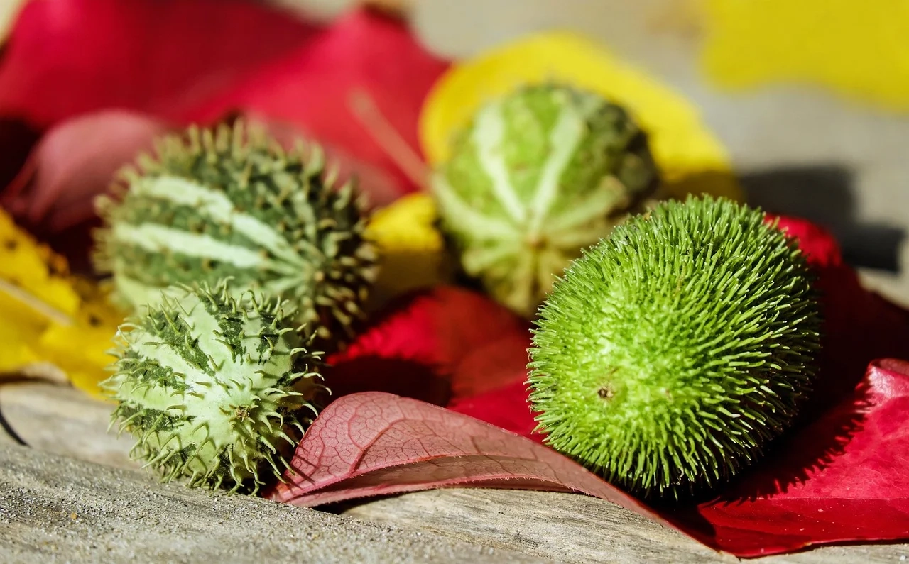 5 Hacks for Keeping Your Greens Fresh for Weeks